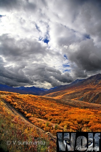 Yukon wilderness 003 Copyright Villayat Sunkmanitu.jpg